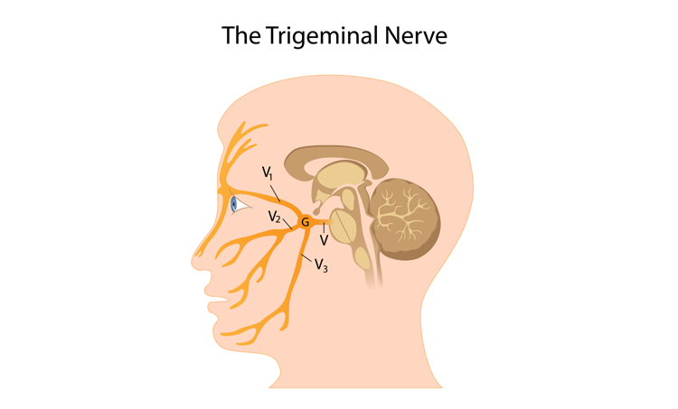 Reflexzonetherapie bij trigeminus-neuralgie