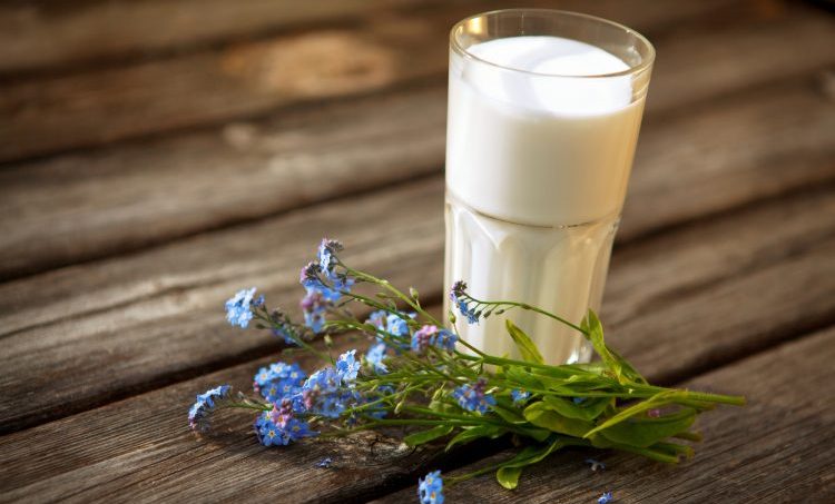De rol van melk en zuivel bij kanker