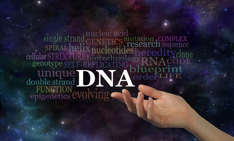 Nieuwe hoogleraar omgeving en DNA