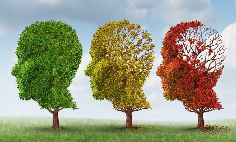 Relatie hoog glycemische voeding en ziekte van Alzheimer