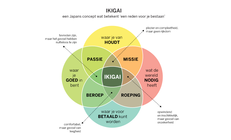 Vind jouw Ikigai als ondernemer