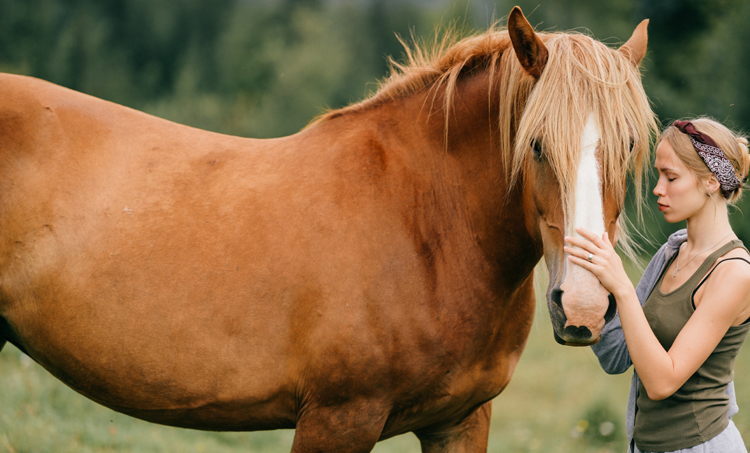 Hebben kinderen met ADHD baat bij omgang met paarden? 