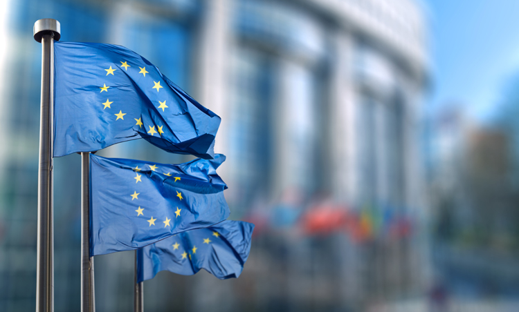 EUROCAM internationaal webinar integrale geneeswijzen bij (long) Covid